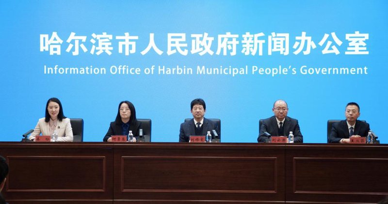 黑龙江软件开发行业新动态